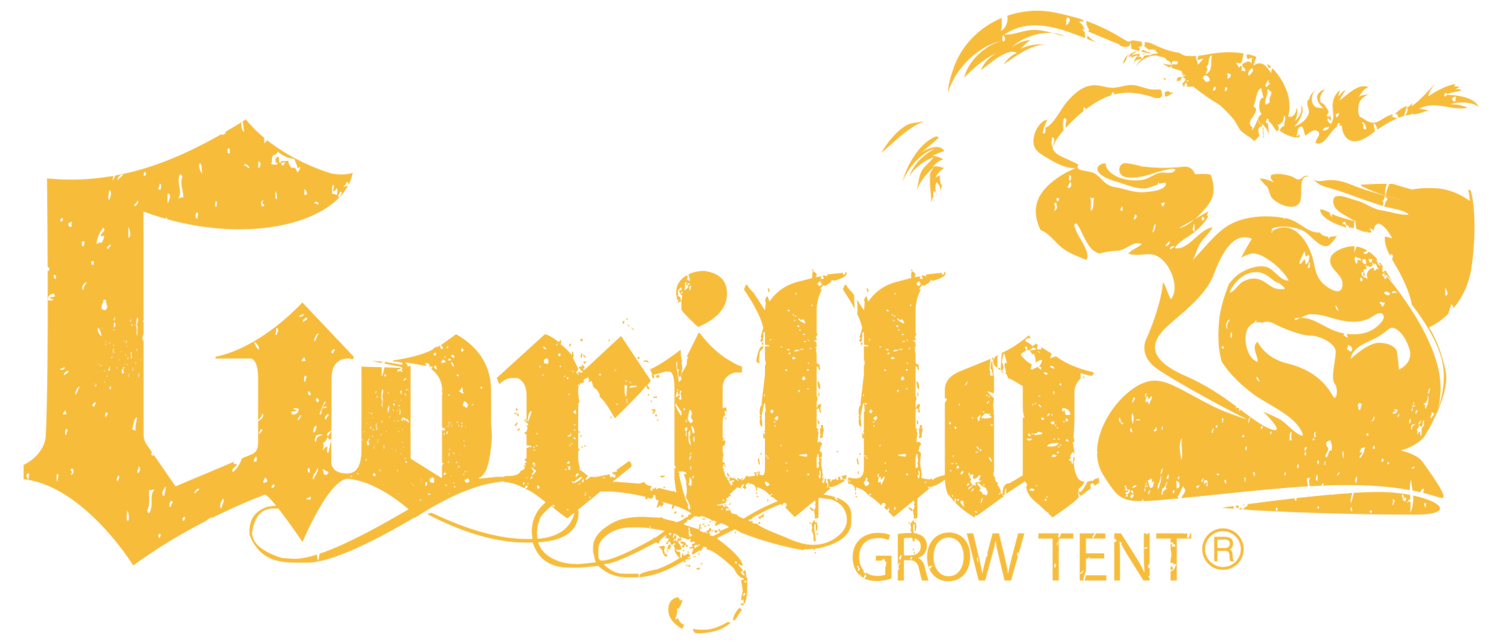 Gorilla Grow