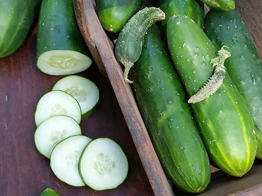 Baker Creek Ancash Market Cucumber