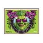 Advanced Nutrients Big Bud Powder