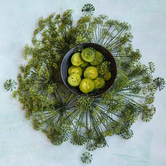 Baker Creek Bouquet Dill